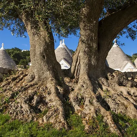 Borgo Canonica Szálloda 4*